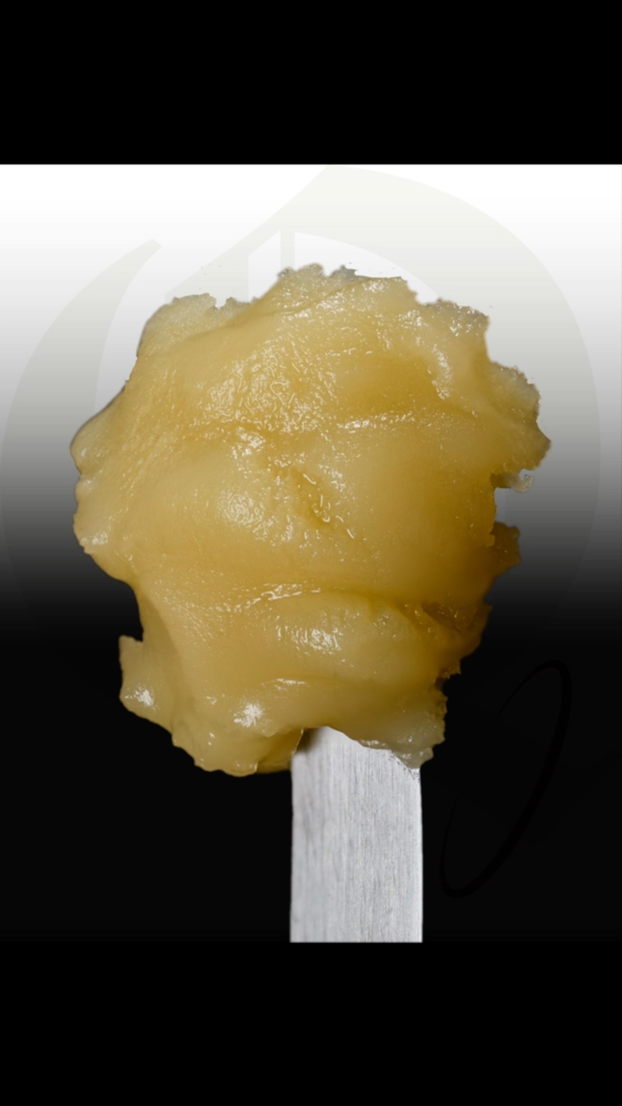 Babylon is Falling. More Peace, more love, more empathy, more welfare, more charity. Less 6 figure “non-profits”.
.
This cut of #theHive is where the mind belongs. More hash. Less of everything else. We will be having 3-4 new rosin vape flavors and possibly a few surprises Friday. Stay tuned as they will be in improved hardware (Kung Foo Vapes) but as good or better. And the glass tip ones will get here eventually… keep an eye out for pre-order…
.
#GoQuantum #thca #thcaliverosin #craftersgonnacraft #ftp #quantumexotics