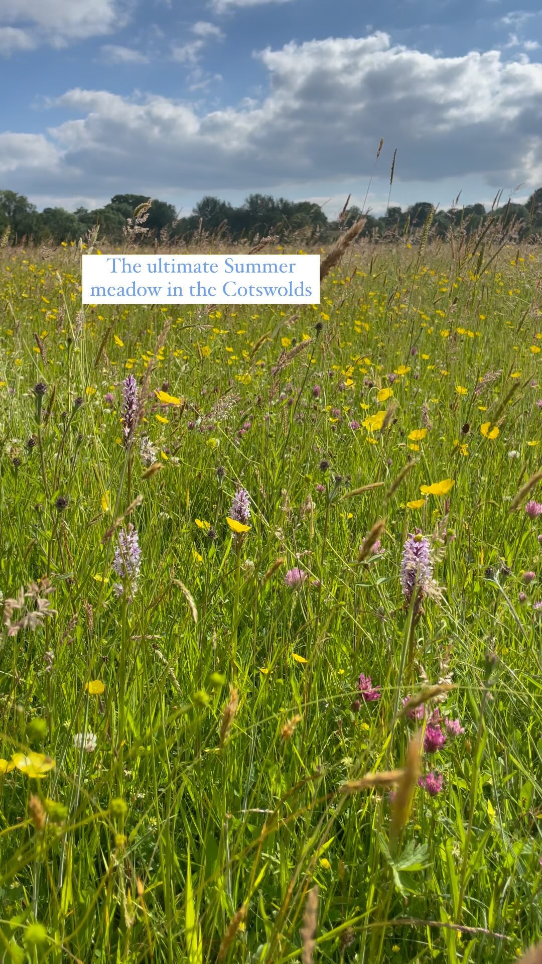 The Cotswolds has to be on your Summer bucket list 2024!
#cotswolds #cotswoldlife #summer2024 #holiday #microvacation #minibreak #cotswoldcottagegems #bucketlist