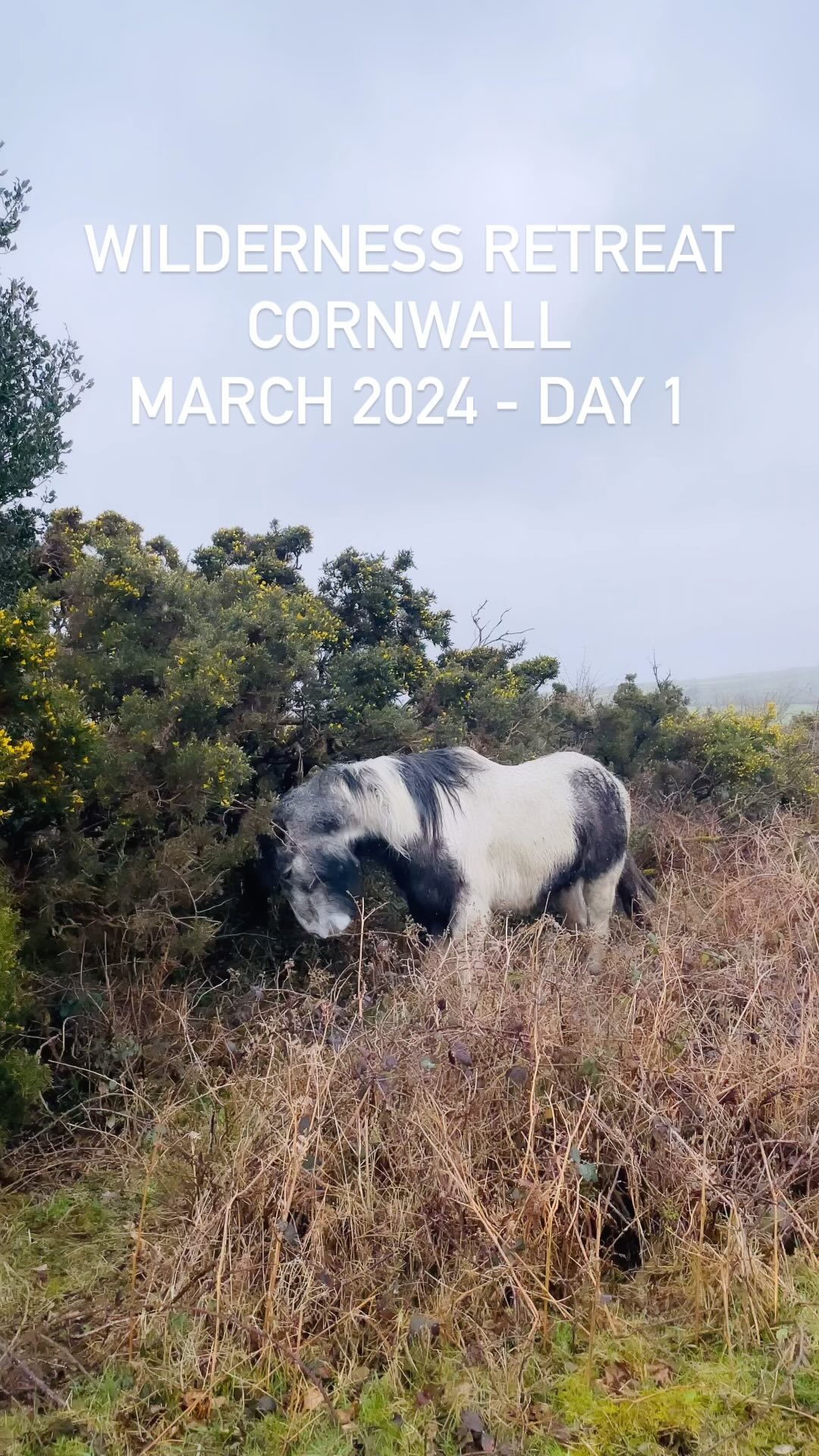 🌳WILDERNESS RETREATS🌳
.
Day 1
.
Massive thanks to everyone who came & was part of my retreat. To Nadine & Jordan for assisting me and for all the brands that supported my retreat. To the venue host Bianca and to Kate the most amazing chef 💖
.
.
.
#wildernessretreat #yogaretreat #ukyogaretreat #yoga #escapetothecountry #escapism #mindfulness #meditation #nourishment #soulawakening #innerlight #timeout #countryside #temperaterainforest #nature #vinyasa #yogasana #yogaasana #ashtangavinyasa #yogauk #cornwall