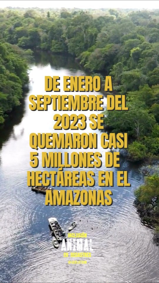 Es de esperar que ante el cambio climático la intensidad de los incendios forestales incremente. Sin embargo, el cambio climático muy pocas veces es la razón detrás del origen de un incendio.
Esto en realidad es bueno, porque podemos hacer más al respecto-siempre y cuando hagamos algo...
.
Inclusión Animal en Desastres promueve la preparación y reducción de riesgos como primer paso. Revisar nuestro contenido para tener herramientas prácticas que implementar 💪🏽
.
.
.
#animalesendesastres #iad #iadlatam #inclusionanimalendesastres #inclusionanimal #cuidadoanimal #ningunanimalsequedaatras #animal #animallovers #animals #amor #ayuda #proteccion #conservacion #educacion #desastres #desastresnaturales #latina #cambioclimatico #refugioanimal #santuarioanimal #caribe #incendiosforestales #plandemergencias #americalatina