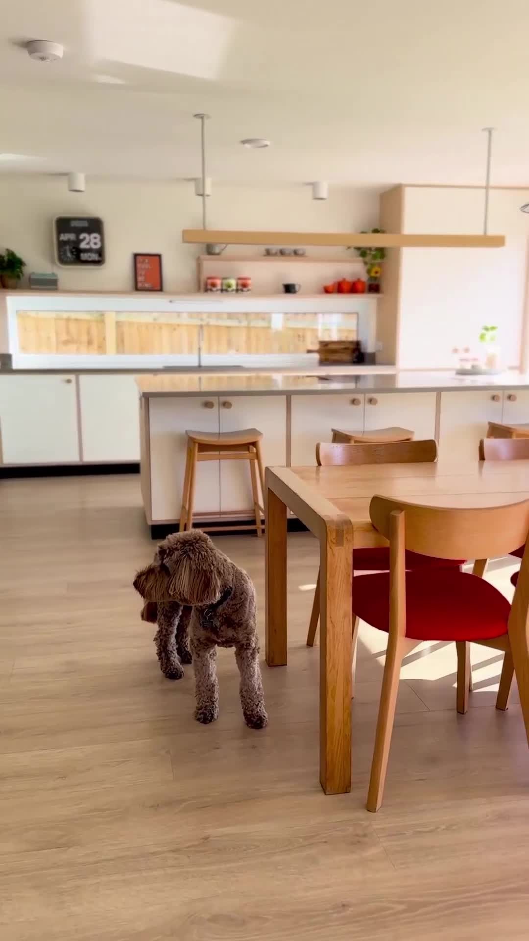 Website Is Now Live | Explore Skylarch
We’re proud to launch it with a first look at Skylarch, a flagship Weber Creative Living project.
A home that’s been thoughtfully designed, beautifully crafted, and built around the way you live.
Explore Skylarch, discover our process, and browse our latest work — all on our brand-new website.
Now live: webercreativeinteriors.co.uk
Project: Skylarch
@weber_creative_interiors @socialsubby
#SkylarchByWeber #WeberCreativeLiving #WebsiteLaunch #CraftedAroundYou #BespokeInteriors #DorsetDesign