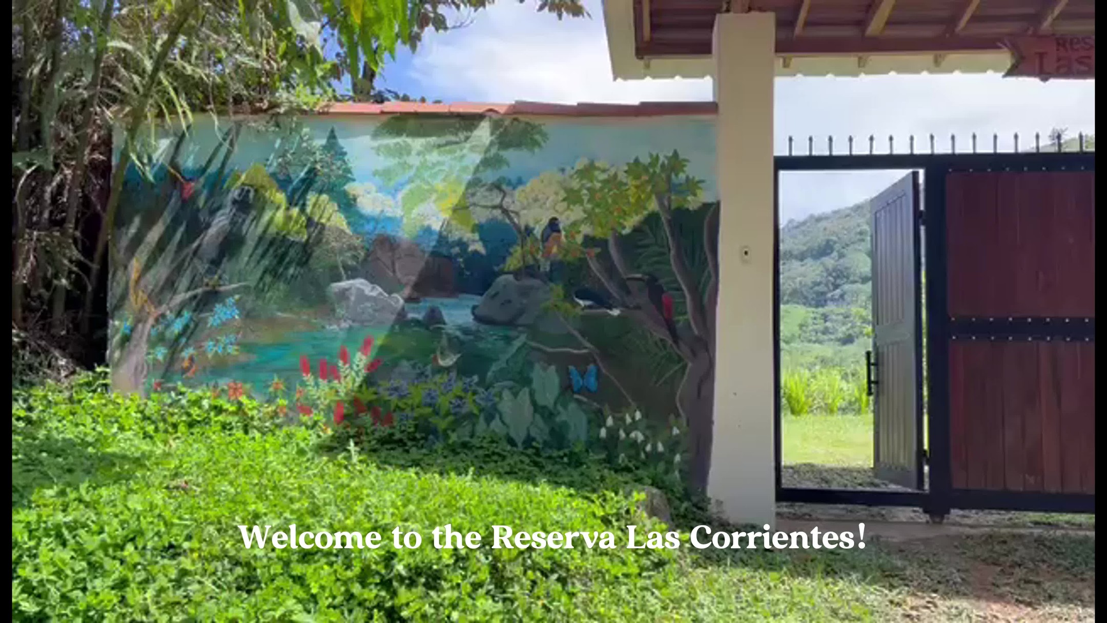Curious about what the Reserva looks like on a beautiful day? Let us take you on a walk through every corner of the Reserva in this video. Mountain living at its best! 🏔️
We can't wait to see you here, message us to book! 😊
#ReservaLasCorrientes #Reserva #Hotel #Staycation #Finca #Naturaleza #Antiquioa #medellin #Colombia #DigitalNomad