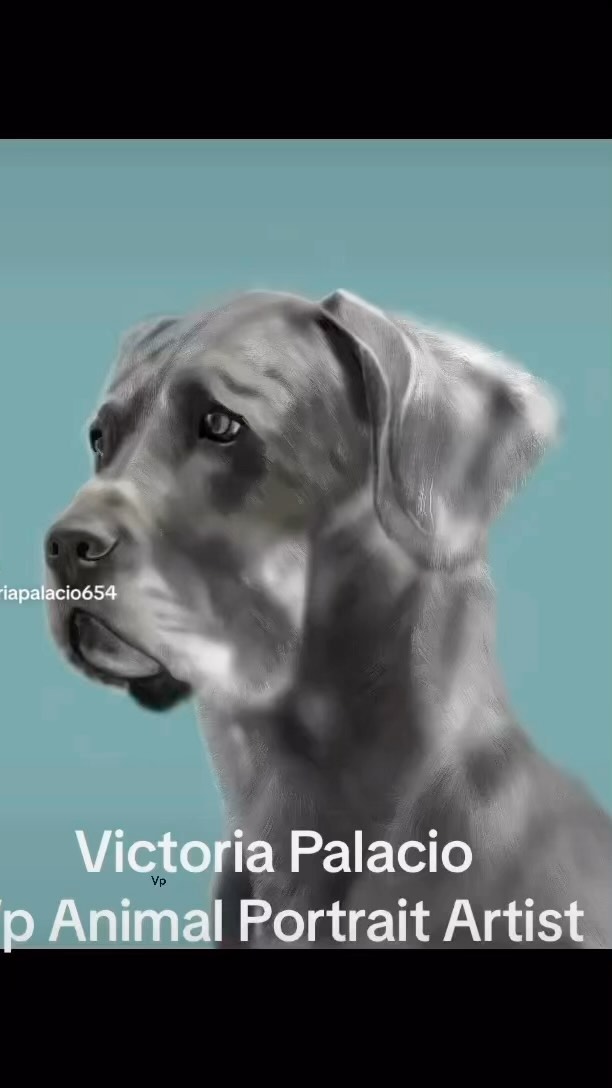 #vpanimalportraitartist
#animalportraits