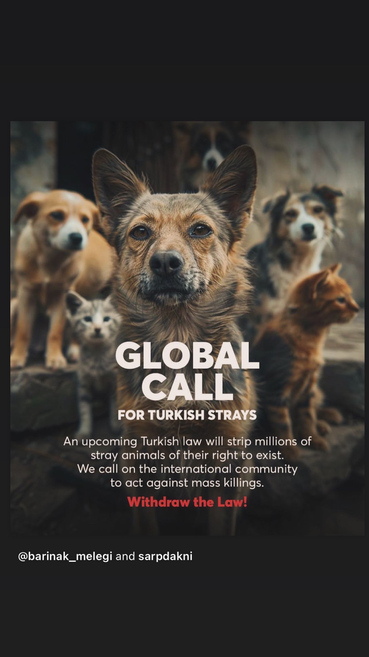 TÜRKIYE’DEKI SOKAK HAYVANLARI
İÇiN DÜNYAYA ÇAĞRI!!!
Türkiye’deki sokak hayvanlarinin toplanarak
katledilmesini meşrulaştırılarak yasa değisikligi önerisi
Meclis komisyonunda onaylanmayı bekliyor. Bu katliam
yasasini tüm dünyaya duyurmak ve durdurmak için
uluslararasi çağrımızı paylaşır mısınız? Teşekkürler.
Yasayı Geri Çek!
___________________
GLOBAL CALL - FOR TURKISH STRAYS
An upcoming Turkish law will strip millions of stray animals of their right to exist. We call on the international community to act against mass killings.
You can share this post on your social media accounts to reach more people. Thank you.
Withdraw the Law!
#yasayigeriçek #withdrawthelaw #yasadeğilcinayet #yasayahayır