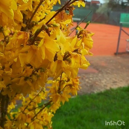 🐰🥚🌷
Musik: Ice Tea
Musiker: Not The King
