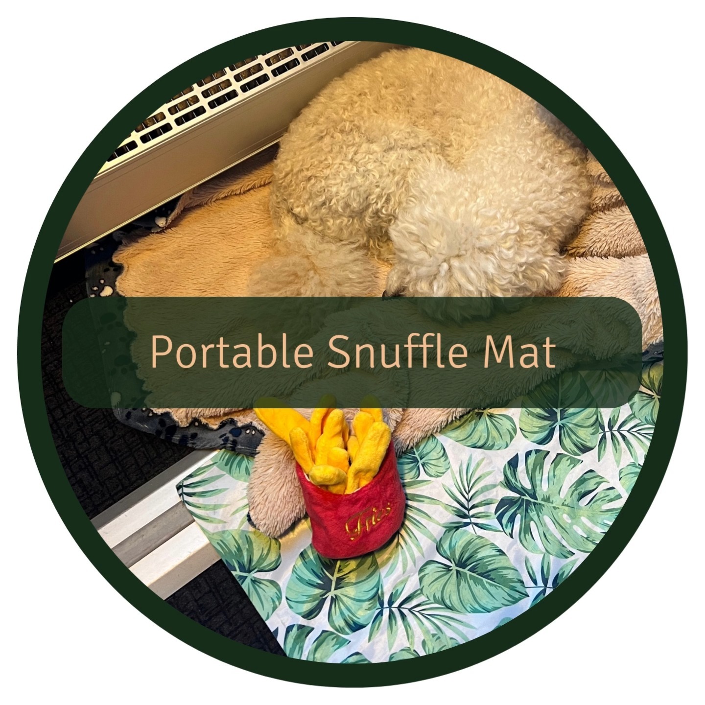 Planning a trip with your canine companion or visiting a restaurant? 🐶🍽️ Don't forget to bring a small snuffle mat! 🐾 This engaging toy can help your dog rewind and then relax 😌
What's a Snuffle Mat?
A snuffle mat is a dog toy that stimulates your pup's natural foraging instincts 🐕 It's a soft mat with pockets for hiding treats. Dogs use their noses to find the goodies.
Why Bring It?
- Mental Stimulation: Keep your dog mentally engaged, reducing anxiety 🧠
- Relaxation: The calming effect of snuffling helps your dog unwind 😴
- Distraction: If your dog doesn't like being on a bus or at a restaurant, the snuffle mat can distract them from discomfort. 🚌🏨 However, a long-term training plan using positive reinforcement to make them comfortable in these situations should be in place 🐾🏆
How to Use It:
- Pack It: Don't forget your dog's snuffle mat and treats 🎒🦴
- Supervise: Always watch your dog to ensure safe play 👀🐕
- Regular Sessions: Offer snuffle breaks to keep your dog happy and relaxed 🕐🐶
A snuffle mat is a simple yet effective way to ensure your dog's comfort and enjoyment 🛳️🌟