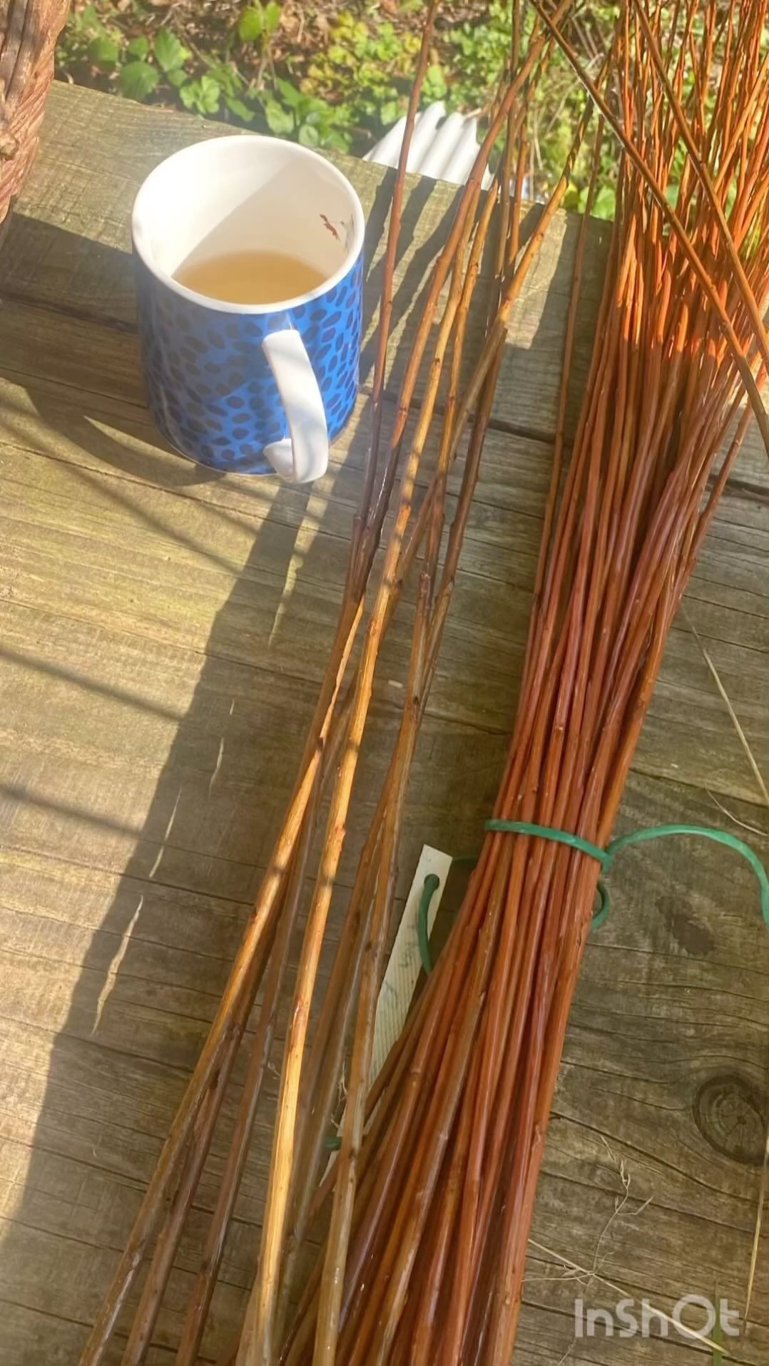 Here’s how I weave a round willow bird feeder! 🪶
Weave your own this coming Wednesday evening, 6-9, Denbury, nr Newton Abbot! It’s a fantastic workshop for those curious about willow or for seasoned weavers to learn a new recipe and build up a collection for Christmas pressies. 🎁
Message me if you’d like to join this lovely small group 📝, 2 places left 😀