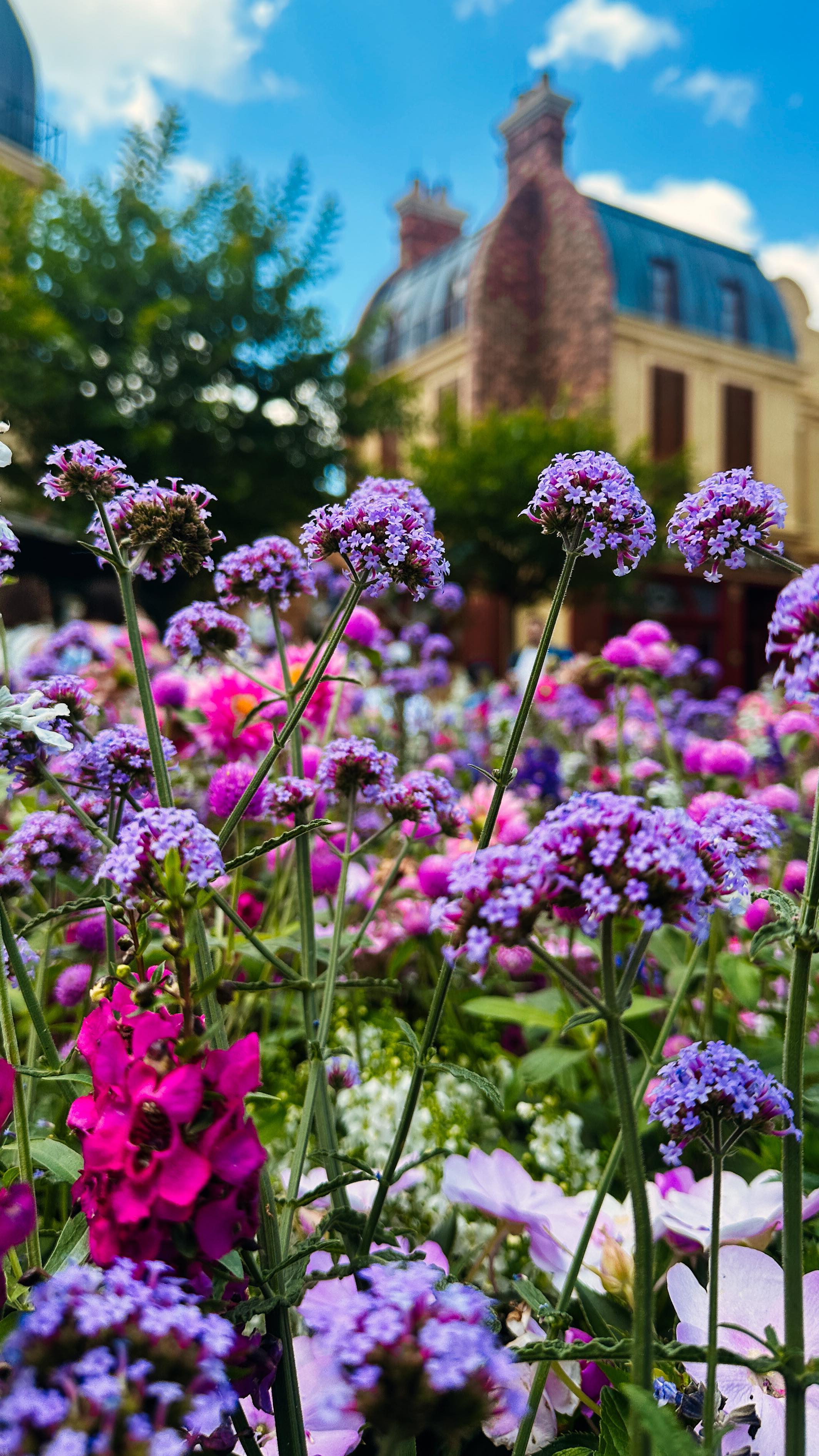 Life lately, nothing overly fancy or special, just enjoying the simple moments each day brings. Just a few of the things that have been going on: studying and writing papers well into the night, games and baking with my family, food, dinner, water time with friends, and plenty of fun with coworkers.
#beautyintheeveryday #slowandsimpledays #momentsandmemories #sunsetsandsunrises