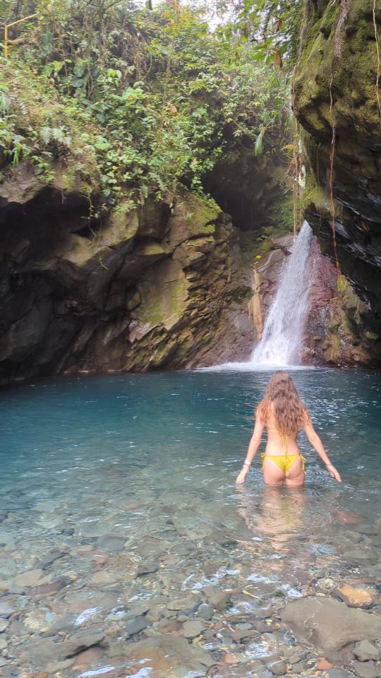 Join the Mangifera Hostel family and get to know this waterfalls 💦 nature 🍃 and magical pools paradise 💦 Bajos del Toro is waiting for you!
Únete a la familia de Mangifera Hostel y conozca este paraíso de cataratas 💦 naturaleza 🍃 y pozas mágicas 💦 ¡Bajos del Toro te está esperando!
@catarata_tesoro_escondido #bajosdeltoro #cataratas #pozas #naturaleza #paz #waterfalls #costaricawaterfalls #costarica #costaricacool #adondeircr #travelcostarica #travelgram #naturelovers
