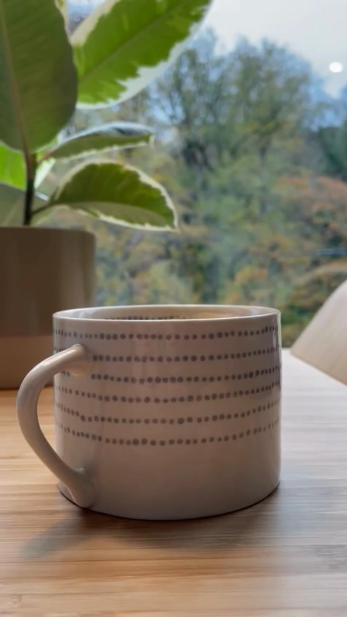 Blue Monday is considered to be the ‘most difficult day of the year.’
However, we would like to turn it around and make it a bit more positive!
Join us at CoWorking Devon by embracing Brew Monday (organised by the Samaritans) - a day to connect with friends, family or colleagues over a cuppa, and support their efforts to support those suffering from low mood.
Not only will you be supporting a great cause but also enjoy a hot cup of coffee and beautiful views of the River Dart from our office window. We believe that our environment plays a big role in our mental well-being, so why not start with a positive workspace?
Contact us at info@coworkingdevon.co.uk or 01364 654 267 for more information.
#BrewMonday #CoWorkingDevon #PositiveVibes #Community #JanauaryBluesBeGone #SupportSamaritans