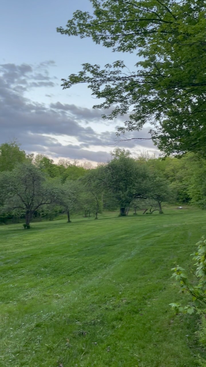 Started prepping for the Summer Safari. First round of mowing accomplished. Thanks to @richard.day.714 for giving me a hand. #overland #exploring #overlandevent