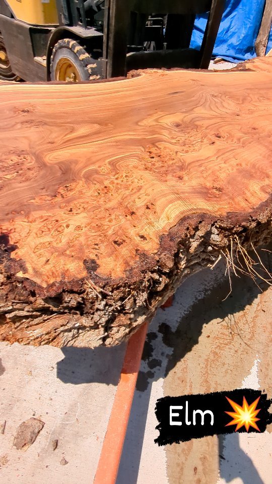 I haven't milled an Elm so nice in a long time. Lots of burls, no nails, rot or bugs...and lots of great grain.
.
.
.
#slaburday #elm #burl #denver #urbanlumber #customfurniture #millingmachine