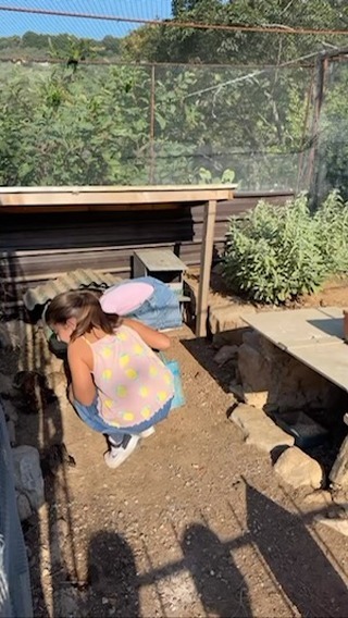 campo estivo 2024❤️