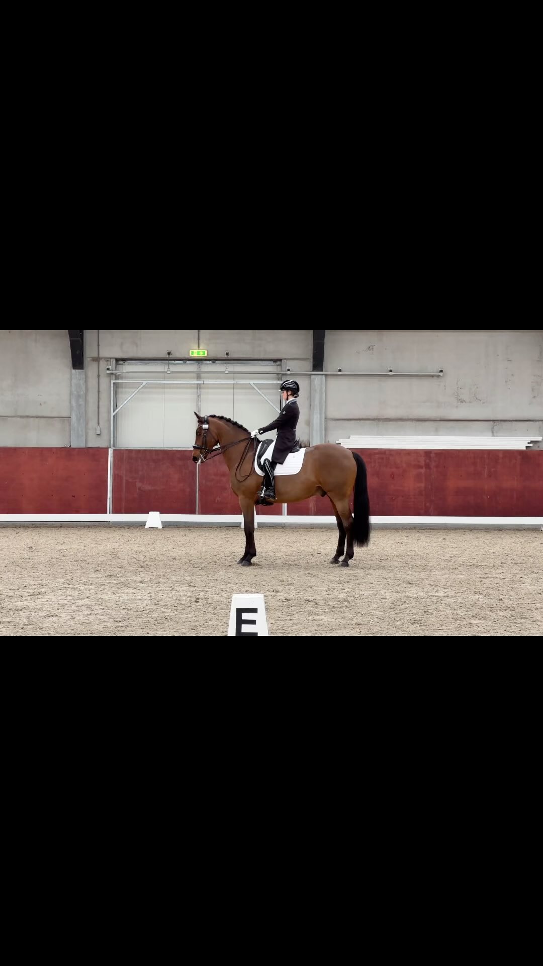 Dordogne Dn
Some clips of our test yesterday!🌟
Third place in the PSG
Not perfect yet but we are getting better and better
🥰🥰🥰