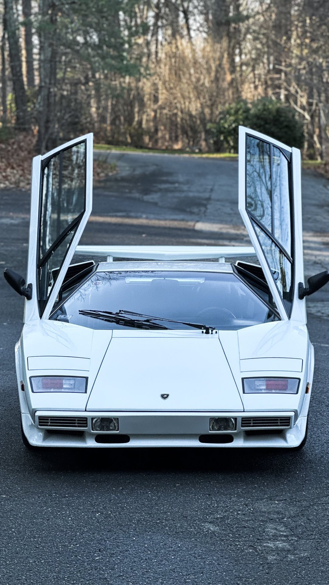 What are we driving…
Thanks @lamborghini for building such a masterpiece
#lamborghini #lamborghinicountach #countach #lamborghiniclub #lamborghinistreetmasterpiece #lamborghinilover #italy #fastandfurious #whatarewedriving #car #classiccars #passion #speed