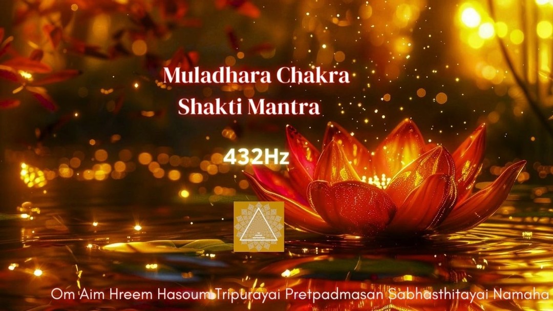 ●Nel canale YouTube troverete la versione completa del mantra, recitata 108 volte come richiede la forma, qui su Instagram ho dovuto tagliare il contenuto●
🌿andate su YouTube e digitate "percorsoarmonico" nella barra di ricerca, troverete subito il canale!🌿
in questi ultimi giorni ho ridotto un poco la presenza nei social, aumentano le belle giornate e la temperatura si stabilizza oltre i 20 gradi, sento proprio anche la necessità di passare più tempo in natura, al sole.
Però in qualche modo cerco di continuare a creare, ecco che vi condivido quest'ultimo mantra rigorosamente incontrato per caso ma che approfondendo ha rivelato mondi e dimensioni.
questo è un mantra di devozione a Tripura, uno degli aspetti di Shakti, l'energia universale, in forma di devī, cioè di divinità femminile.
Qui Tripura è invocata nella sua forma Bhairavi, che sarebbe la caratteristica "irata", una forma di rappresentazione in cui la divinità manifesta emozioni di rabbia, spesso con volti trasfigurati e animaleschi.
Shakti Bhairavi è considerata seconda solo a Kalī in forza, sia distruttiva che rigenerativa.
il pantheon induista è un universo incredibile, non sembra esserci fine all'immenso intreccio di storie tra le centinaia di divinità e i molteplici aspetti e raffigurazioni!
#muladharachakrahealing #primochakra #chakradellaradice #guarireconimantra #guarireconleparole #shaktimantra #energiashakti #shaktikundalini #mantra108 #mantra108times #recitaremantra #mala108grani #musica432hz #432hzfrequency #432hzmeditation #432hzmeditationmusic