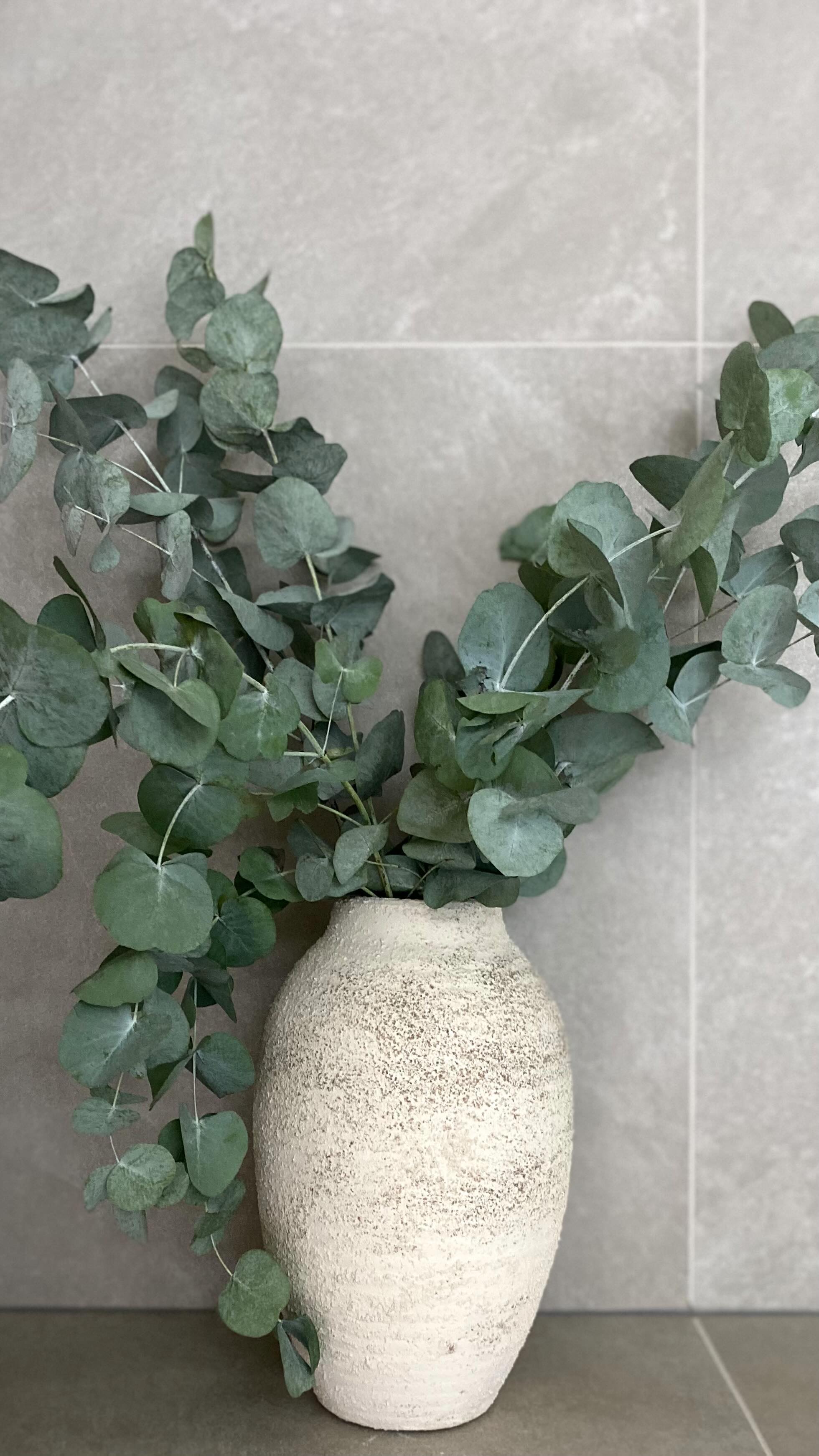 In de afgelopen periode hebben we onze badkamer verbouwd, en nu is het tijd voor de puntjes op de i!
Vandaag heb ik deze prachtige aardewerken vaas van Zara Home ontvangen, en de eucalyptus takken maken het plaatje helemaal af! ๐ฟโจ
Ik ben niet iemand die zomaar accessoires aanschaft; ze moeten voor mij passen in het geheel dat ik voor ogen heb.
Vind jij het lastig om de puntjes op de i te zetten met accessoires? Kom je weleens thuis met iets wat er toch niet helemaal tussen past? No worries, ik help je graag om de juiste keuzes te maken zodat jouw interieur een mooi en samenhangend geheel wordt.
Stuur me een berichtje, dan kijken we samen naar de mogelijkheden! ๐