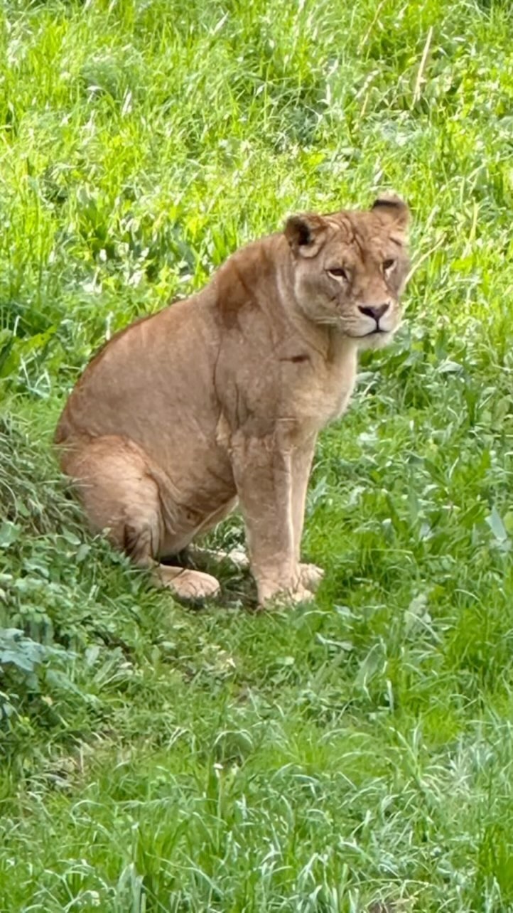 Random place to spend our last night in Spain on this trip 😕