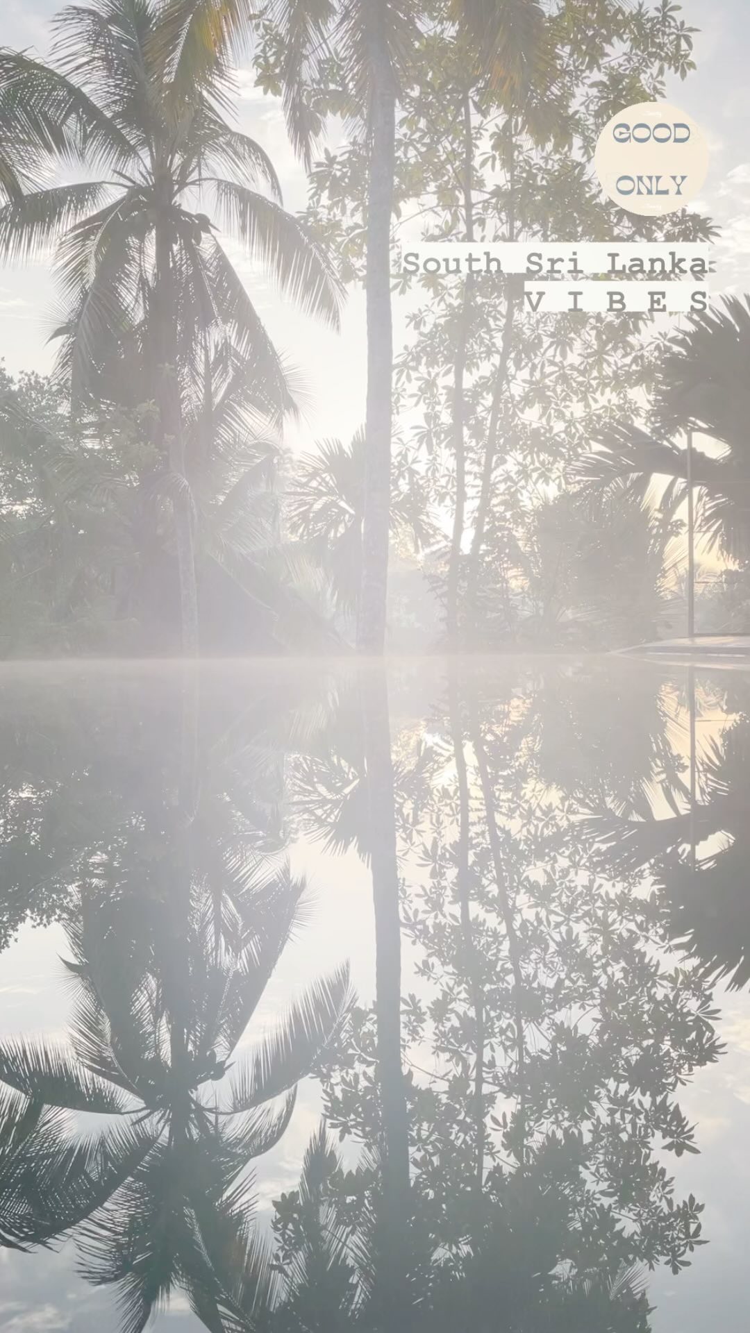 South Sri Lanka
V I B E S
@goodvibesvillas
#srilanka #hotel #goodvibesonly #goodvibesvillas #southsrilanka #surflife #island #goodspirit #instagood #travelcouple #travelphotography #travelgram #discovery #nature