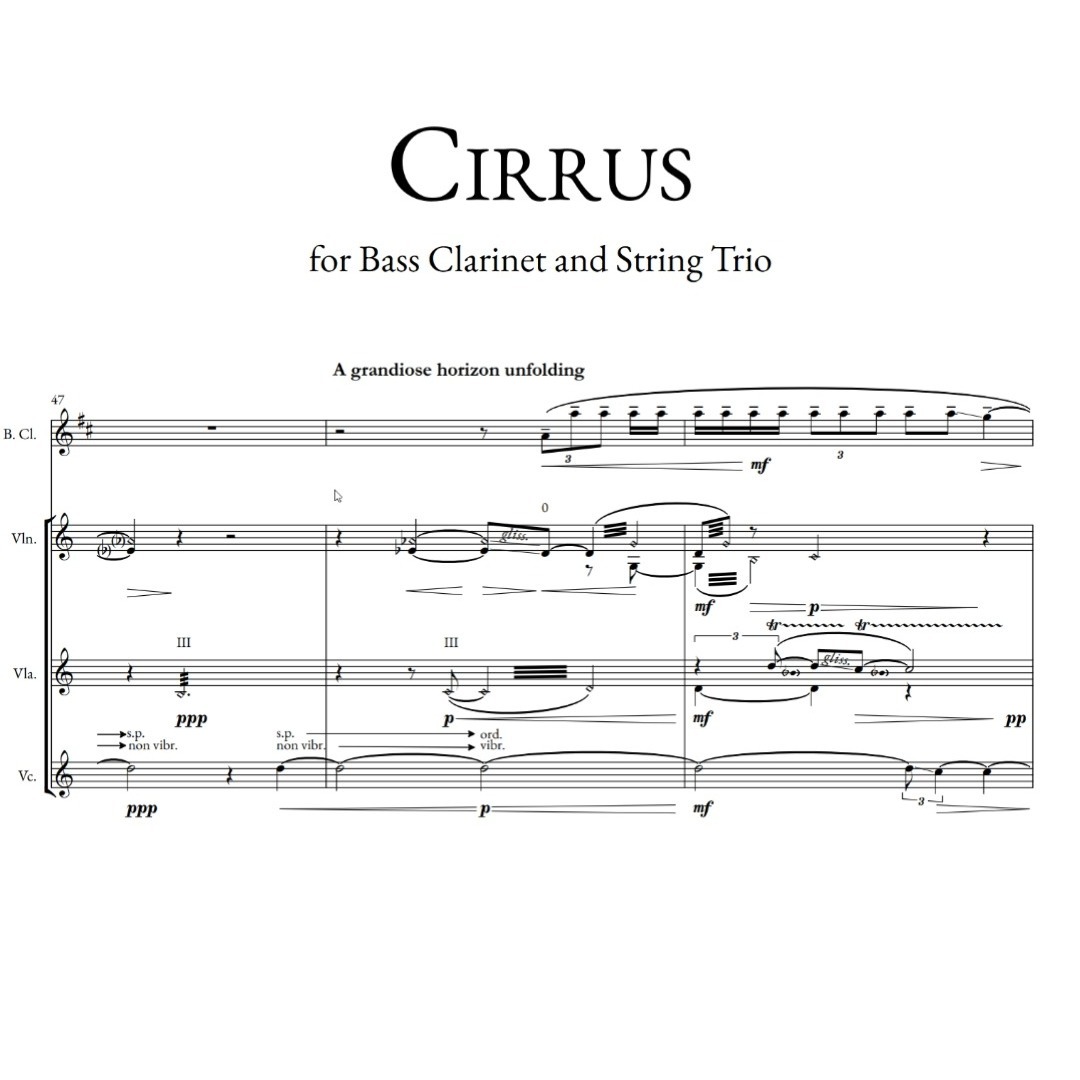 Ethereal ending of my recent composition "Cirrus"(formerly "Filament of Sorts", iykyk)
The work was completed at @thecumnocktryst with the endless personal support and encouragement of Sir James Macmillan and @obettison . I am grateful for all the insightful guidance and engaging conversations.
The beautiful recording presented here was performed by the four wonderful musicians on site: @nessie.contrabassclarinet , Gordon, @ruthchinyeregibson , and @christianelliott1984
It was an unforgettable, exciting, and utterly inspiring experience, and it feels as vivid as if it happened just yesterday. Thank you all.
Lastly, a big thank you to @jm.canada and @lecalq for their generous support in making this invaluable opportunity possible.