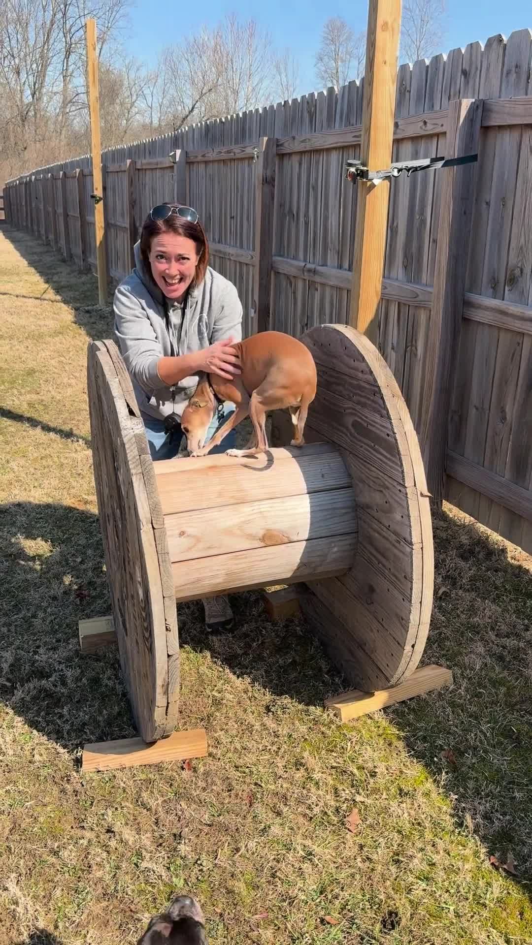 With the warmer weather, we’re back to working outside and introducing new challenges—like our latest yard addition! This wheel is perfect for building confidence and encouraging dogs to try something new and step outside their comfort zone.
Training isn’t just about obedience—it’s about growth, problem-solving and making it fun! Ready to get outside and start working with your dog? Let’s make this season the best one yet!