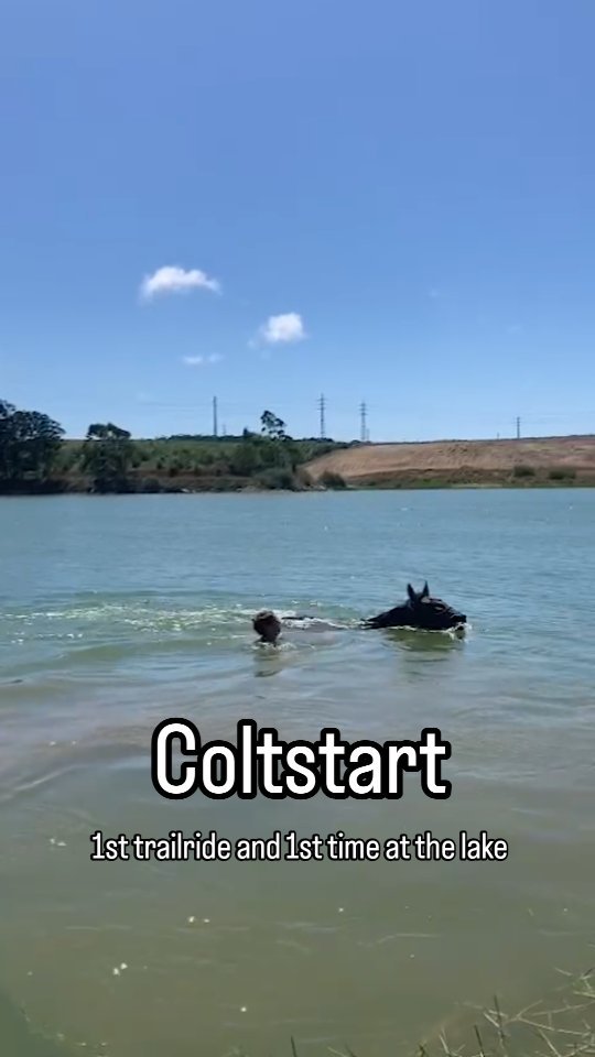 The girls had their 1st little trail ride last week. The lake is just a 30 minute walk away and Hera expectedly loved splashing around and Quira even went for a little swim 💚.