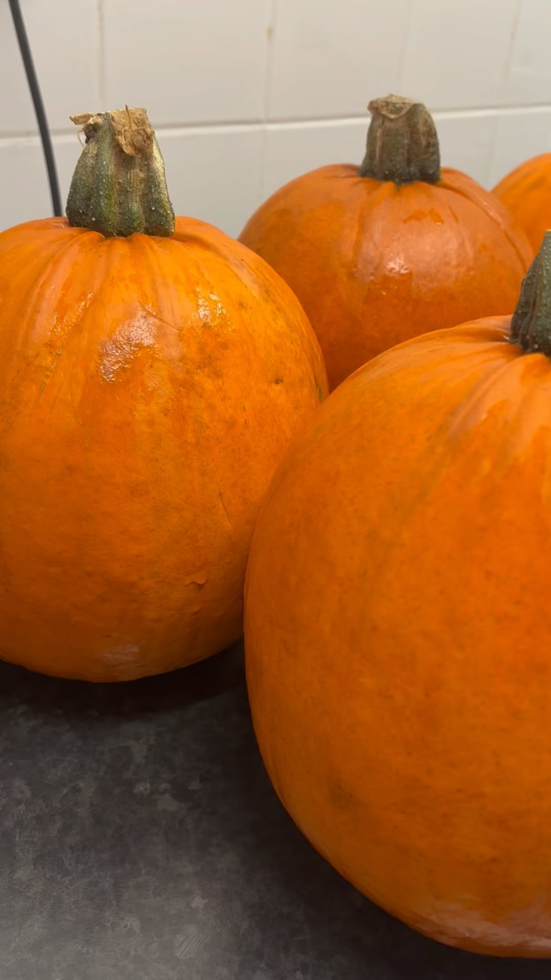 A sneak peak into our Thursday CAMP DAY activities!
After going round 6 shops I FINALLY found pumpkins….*note to self - get them further in advance near year 😅*
There’s ONLY 2 places available on the website, booking will close tomorrow.
🎃