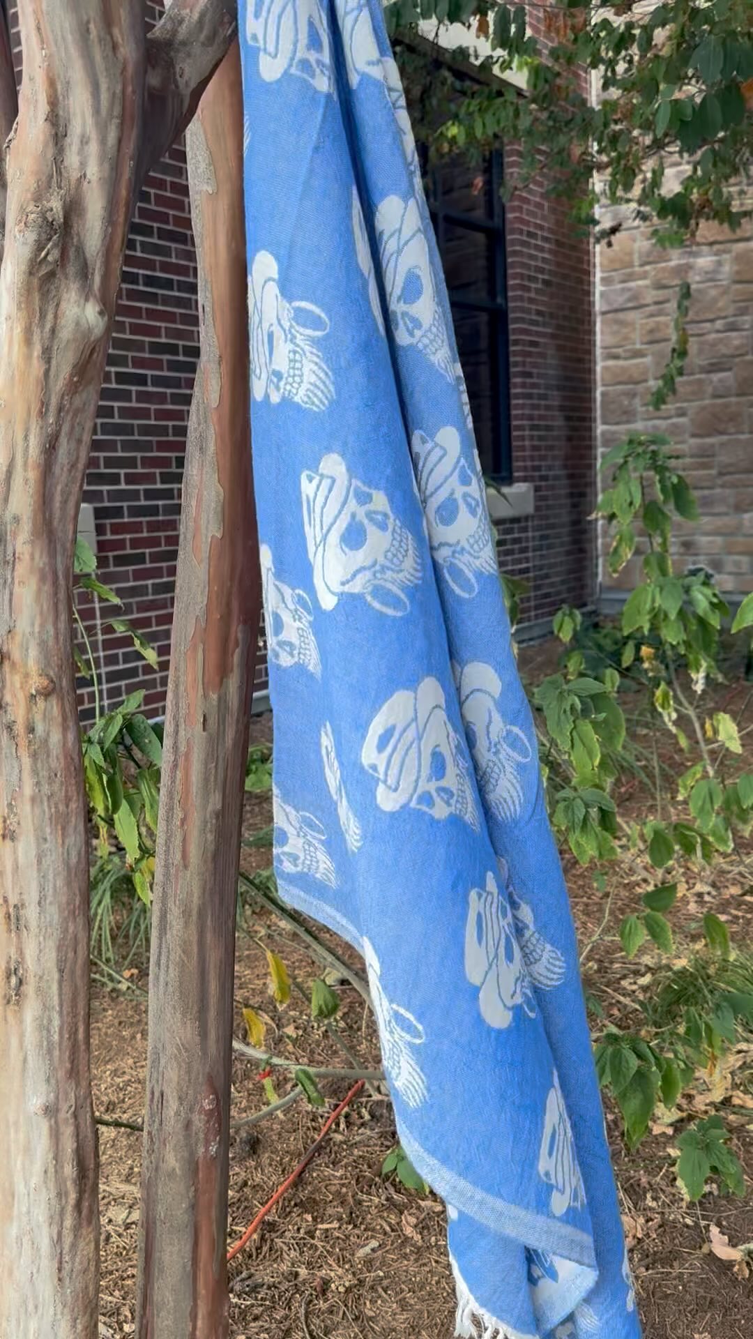 Ready for Halloween 👻🎃