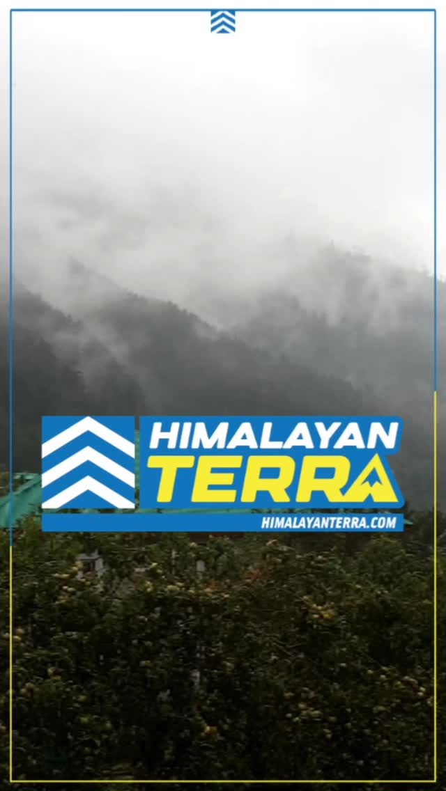 From challenging mountain biking tours and action-packed races to memorable motorcycle expeditions and outdoor camps and activities, Himalayan Terra offers something for everyone, from thrill-seekers to families looking for unique cultural experiences in the Himalayan terrain. - www.himalayanterra.com
#himalayanterra #adventures #himalayas #mountainadventures #himachalpradesh #himachaltourism #mountainbiking #adventuremototouring