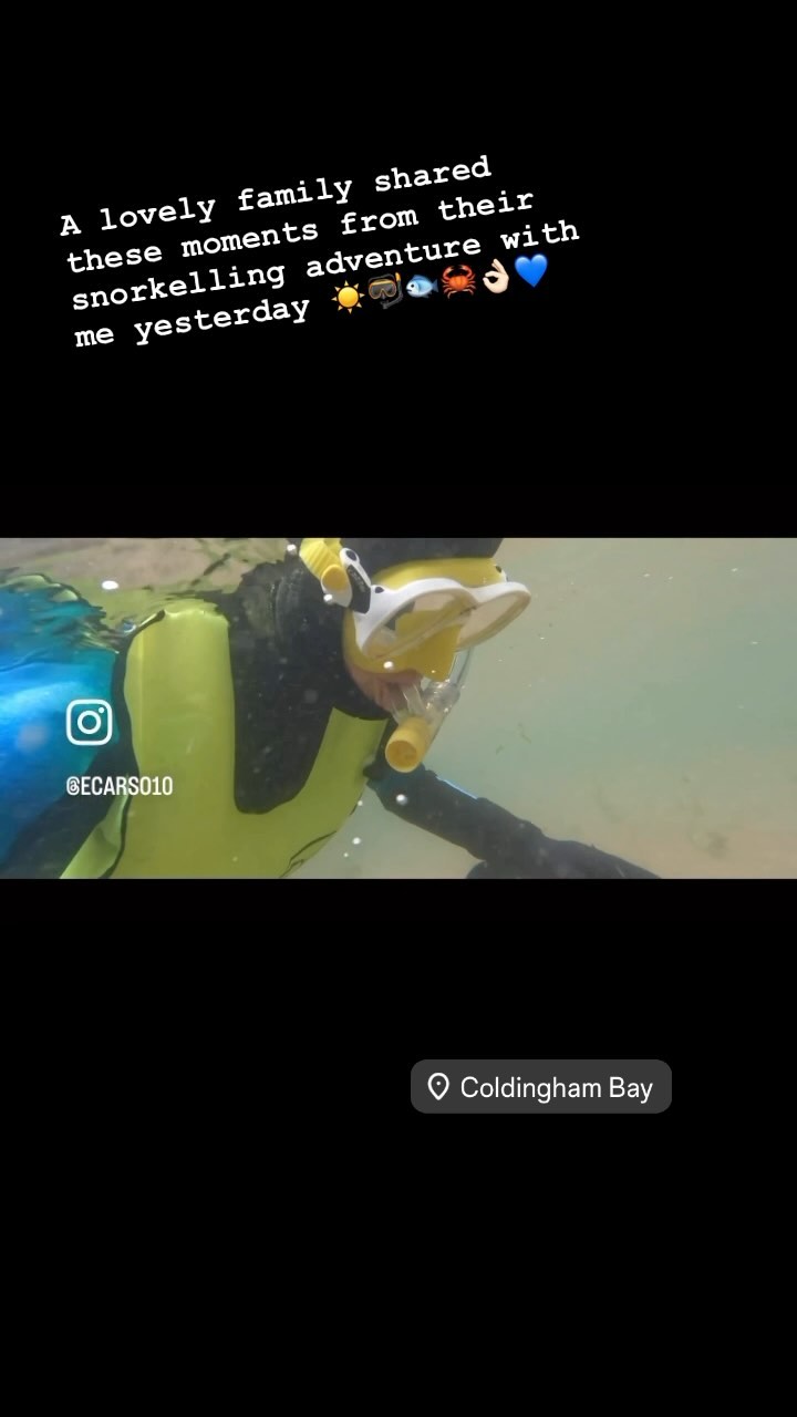 On their annual trip to Coldingham Bay this lovely family joined me for another underwater adventure
Celebrating his 9th birthday, a now very water-confident young lad who learnt to snorkel with me 4 years ago when he was just age 6, could now share his skills and show his Grandpa, who also joined us this year
Lots to see, crabs, wrasse, jellies and anemones 💙