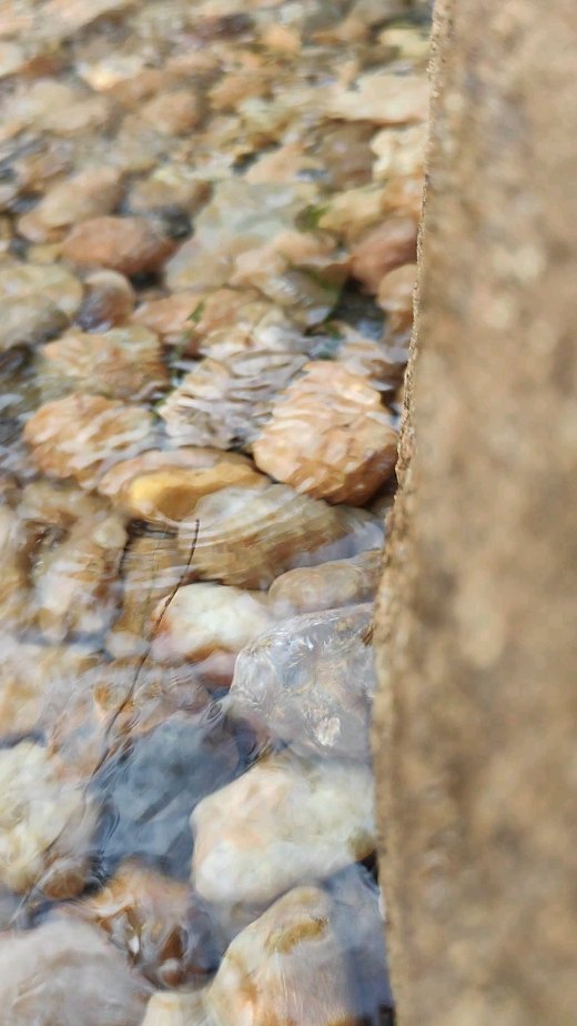 A glimpse of the new chemical free swimming pond