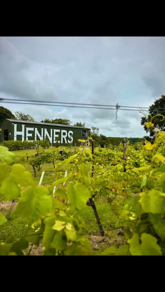 Rain showers, chilly winds and grey skies didn’t dampen the spirit yesterday at our annual Henners BBQ - our guests braved the typically English weather to tour the vineyards before tasting all the fabulous sparkling and still wines and tucking into a delicious BBQ.
Remember it’s English Wine Week from 21st to 29th June - stock up on range of @hennersvineyard wines in readiness - ask your account manager for pricing today!
#englishwineproducers #englishwine #englishsparklingwine #englishstillwine #winelover #sussexwine #hennersvineyard #morenowines