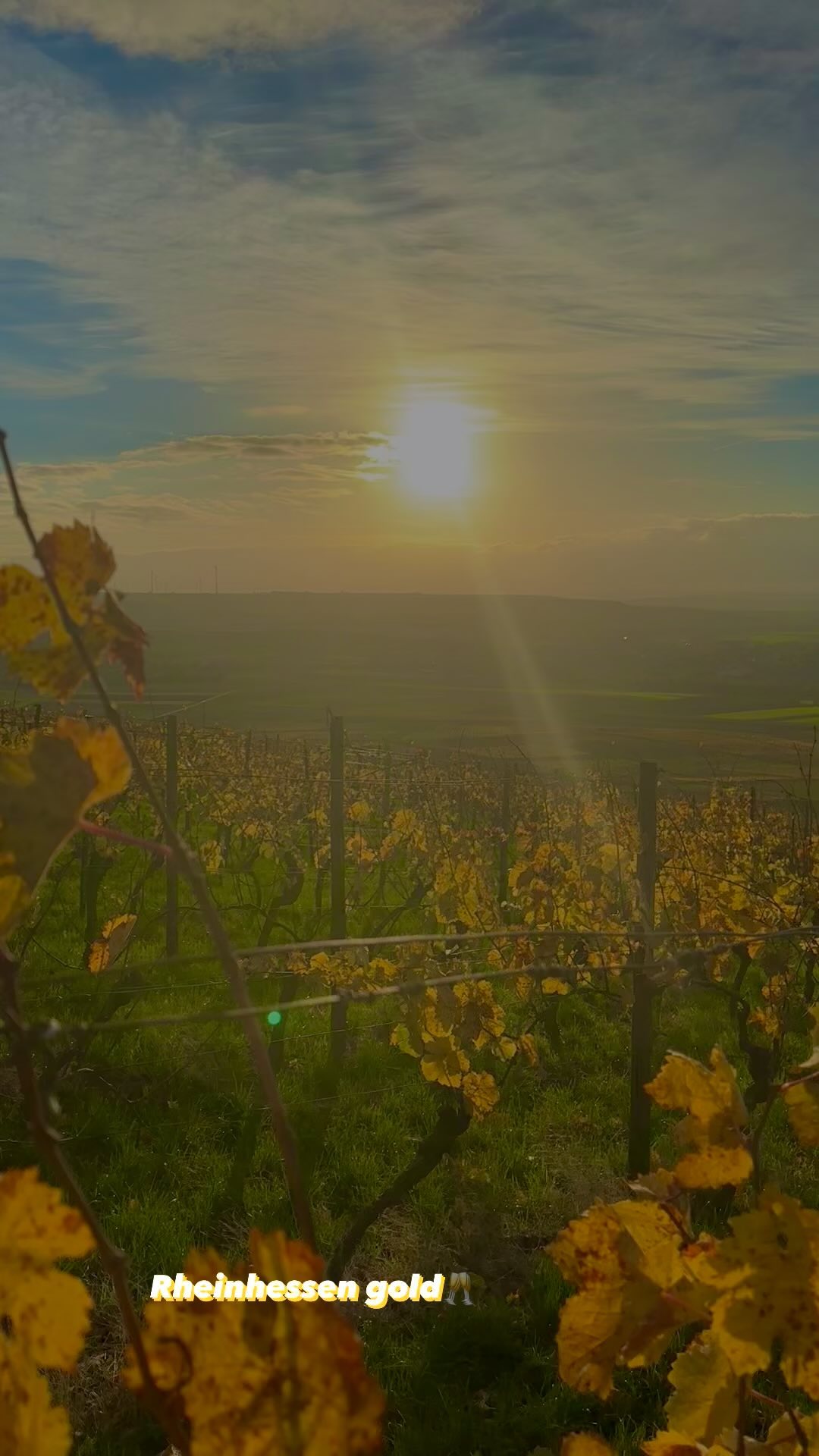 Fall 🍂vibes Rheinhessen
