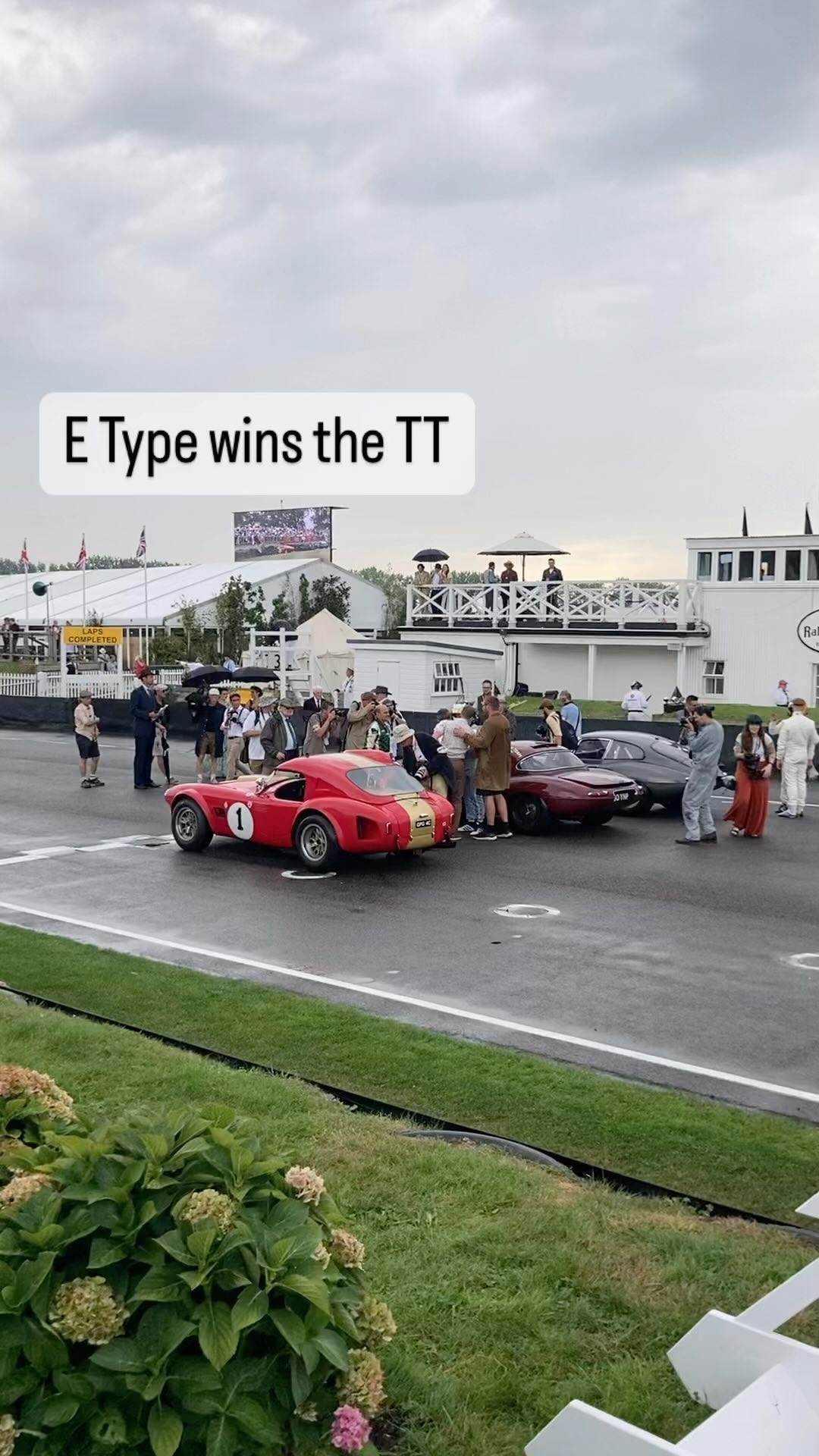After an incredibly tricky TT race in the wet the E types seemed easier to drive than the powerful Cobras. #goodwood #jaguaretype #accobra #racing