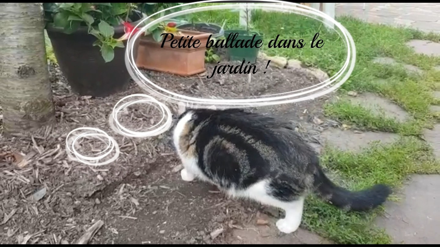 La journée de Rocket !
Bon dimanche à tous !