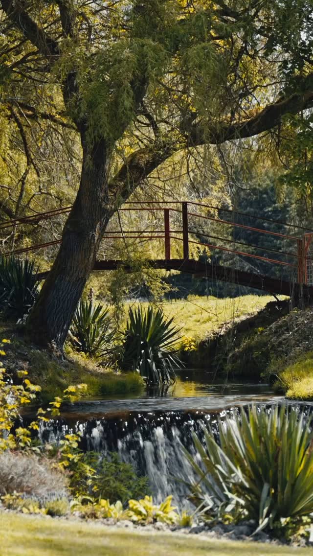 Virginie & Guillaume — 26 avril 2025 🌿🎥
Deuxième mariage de cette saison 2025… et déjà des souvenirs plein la tête.
Virginie & Guillaume m’ont embarqué dans une journée pleine de douceur, de sincérité et de liens forts.
Ils vivent dans un cadre bucolique, paisible, presque hors du temps. Et cette atmosphère, on la retrouve dans leur couple : simple, naturel, profondément uni.
Ce qui m’a frappé aussi, c’est la force des liens autour d’eux. Une famille soudée, des amis bienveillants, des témoins adorables — tout le monde m’a accueilli avec une chaleur incroyable. Mention spéciale aux parents de Guillaume qui, dès les préparatifs, m’ont fait sentir comme à la maison, en m’offrant à manger, à boire, le sourire en prime. 🙏
Pendant la séance photo, j’ai eu la chance de filmer les mariés dans un décor magnifique, où tout semblait parfaitement aligné : la lumière, le lieu, et surtout… leur complicité.
C’est pour ce genre de journées que je fais ce métier. Des moments vrais, des gens gentils, des émotions sincères. Merci à vous deux pour votre confiance ❤️
#mariage #wedding #weddingday #weddingdress #weddinginspiration #filmdemariage