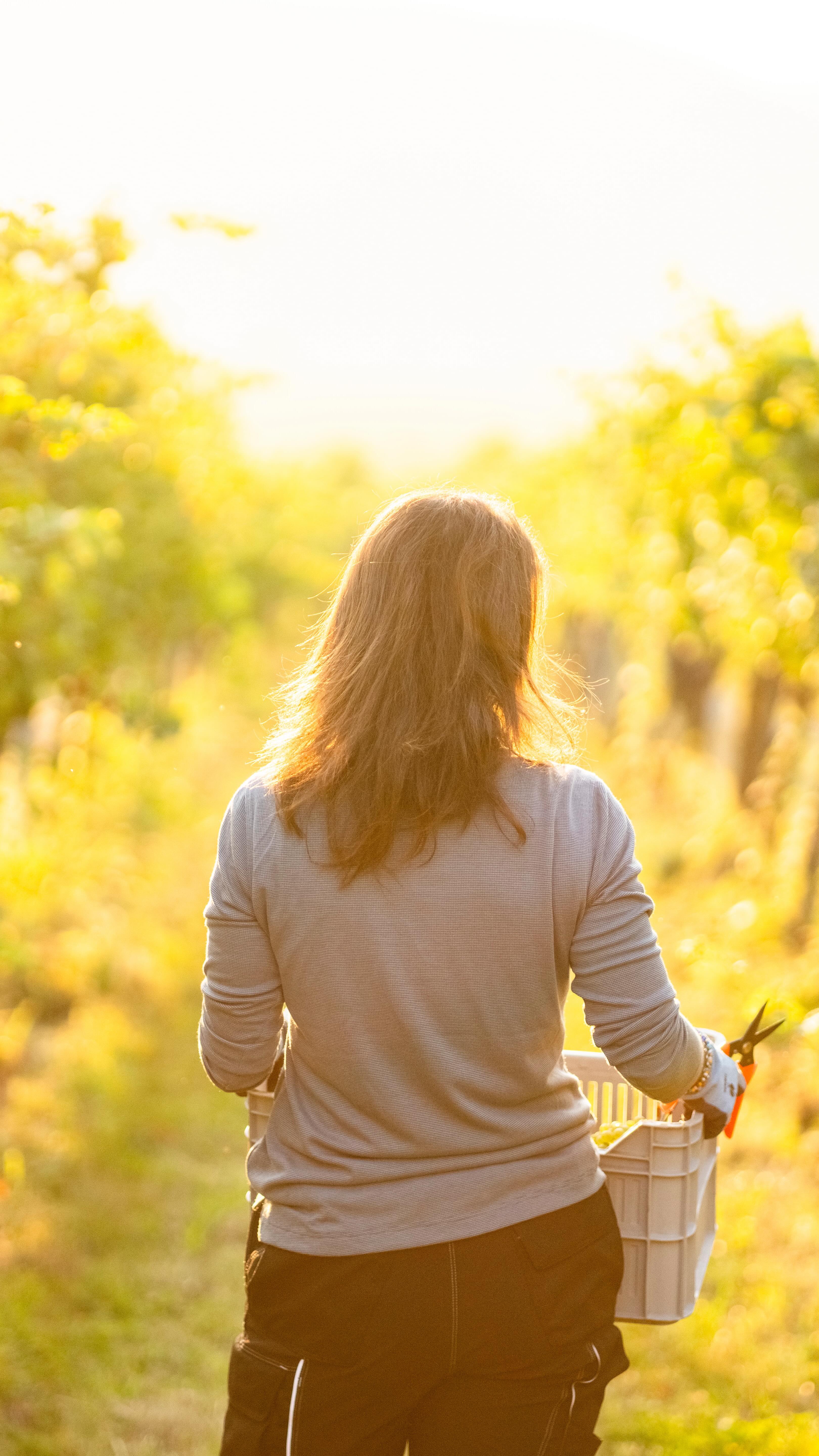 Ein realistisches What-I-drink-in-a-day mit der freundlichen Unterstützung von @schaumweinkontor 🫱🏻🫲🏽🍾😜
#whatidrinkinaday #femalewinemaker #huglsprudel #reel #reelstheworlddoesntneed