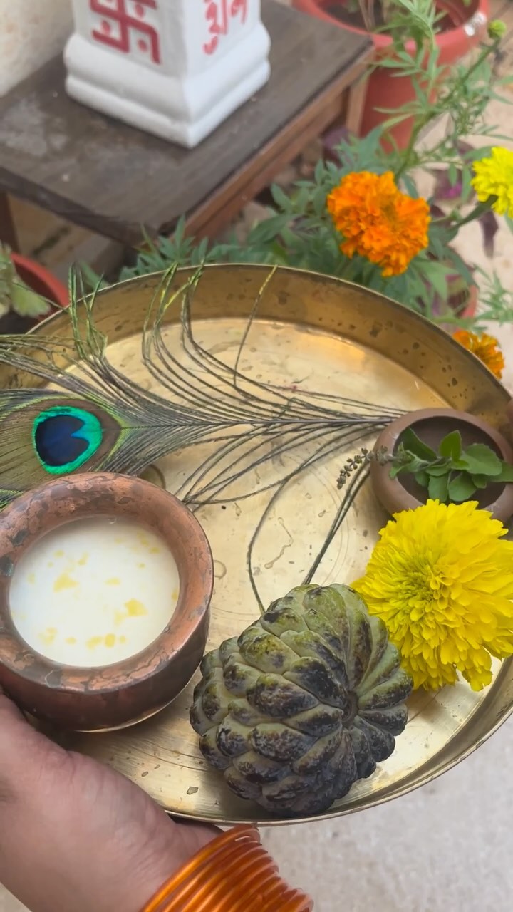 Happy Janmashtami 🪈
You want to sow seeds of love and devotion too, we’ve got you covered, from holy basil to different shades of marigold; we’ve it all at Biocarve!
#biocarveseeds #seedaoflove #seedsofdevotion #marigoldseeds #holybasilseeds #offeringstokrishna #qualityseeds #seeds #seedsowing #seed #janmashtamispecial