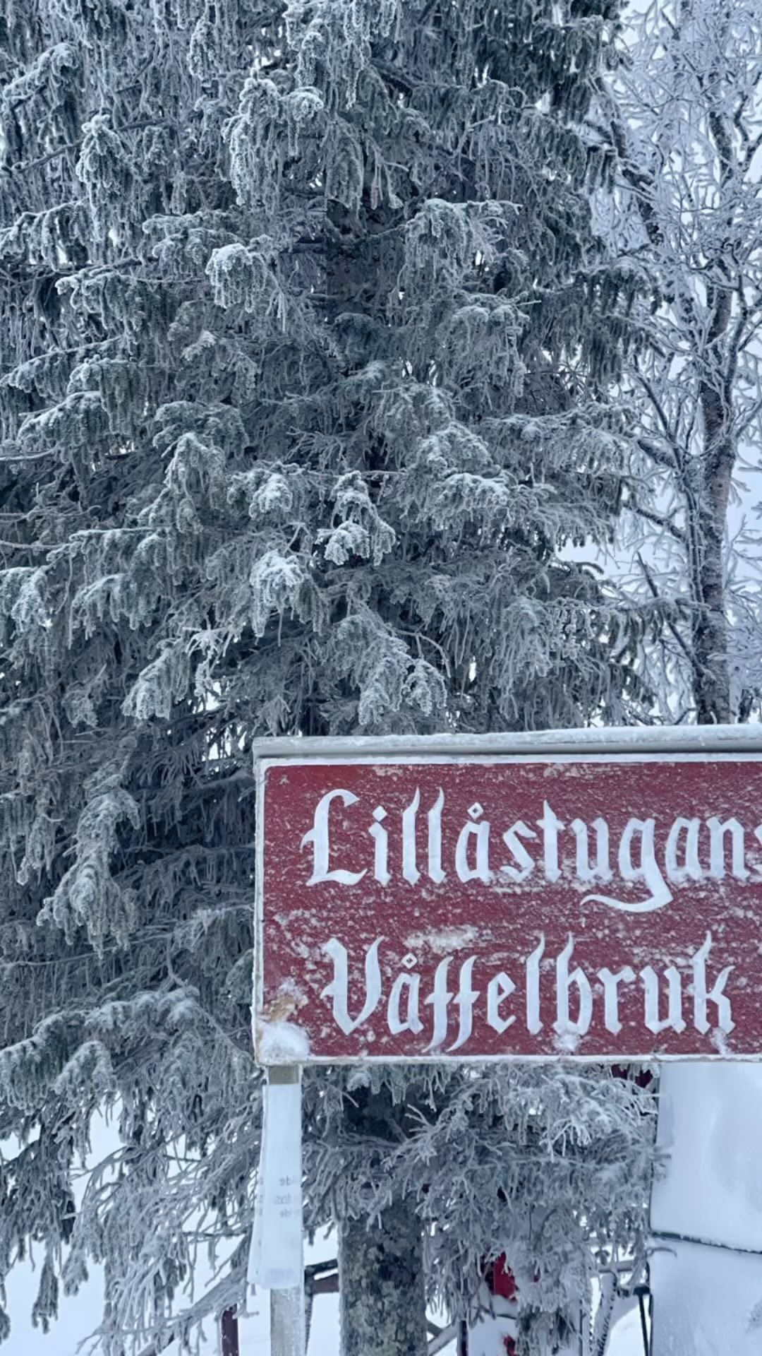 Gott nytt år från Lillåstugan ❤️🥳 öppet varje dag 10.00-14.00 fram till 7 januari sen torsd-sönd fram till v 7 🤩
