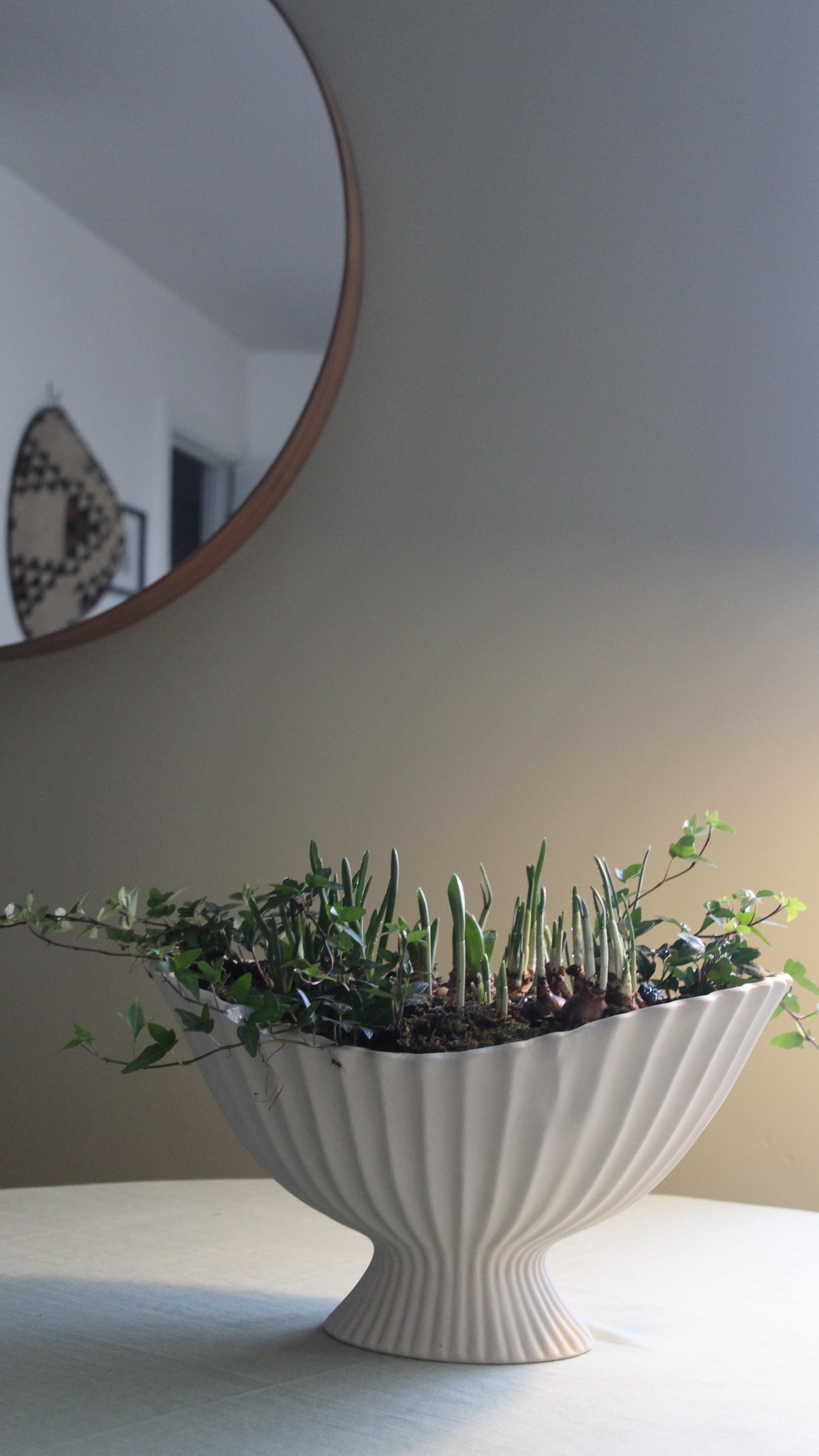 Let me start by saying that I was fully influenced and inspired by @design_at_nineteen who recently created his own display in this beautiful vessel from @fermliving called the Fountain Centrepiece.
I’ve always wanted to have something to be able to do a display like this because my old wooden salad bowls were not cutting the mustard.
So thank you Justin for your recommendation and for your handy tips on how to create this. Can’t wait to see these beauties flower.
Plant list 🍃
Snowdrop woronowii
Narcissus toto
Hyacinth orientalist `white pearl’
Muscari armeniacum
Iris `Pauline’