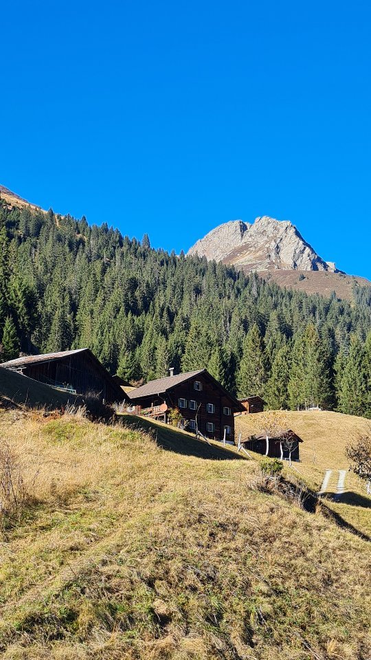 Auf alten Alpwegen unterwegs - einsam und wunderschön 😊
Wer gerne abseits von markierten Wegen wandert ist hier bei mir richtig. Gerne begleite ich euch bei euren Bergabenteuer, meldet euch einfach.
#bergliabi #iguideyou #herbstzeit #naturelover #wandern #mountain #gipfelglück #muntafu #alpe #alpwege #bergabenteuer