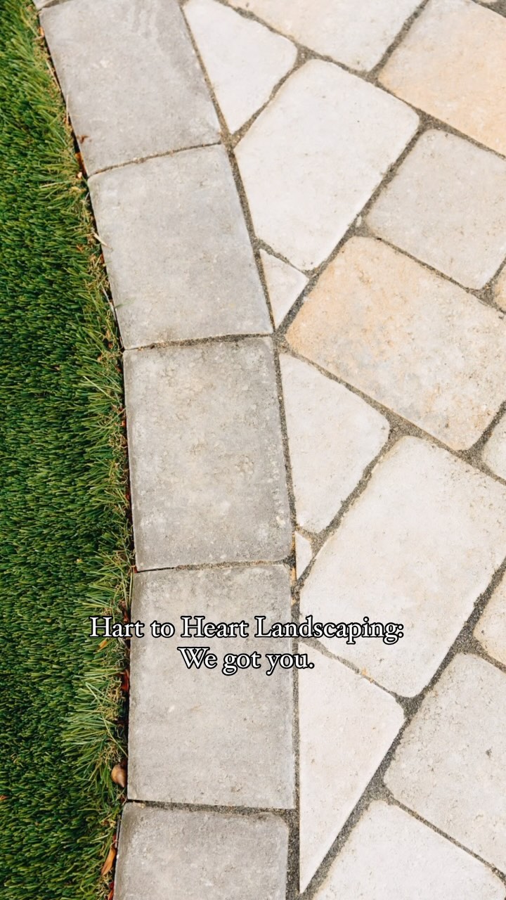 Specialty: Family Friendly Backyards🤗
.
.
.
#landscaping #landscape #landscapedesign #familybackyard #viral #fyp #foryoupage #discoverpage #explore #explorepage #viralreels #trending #trendingreels