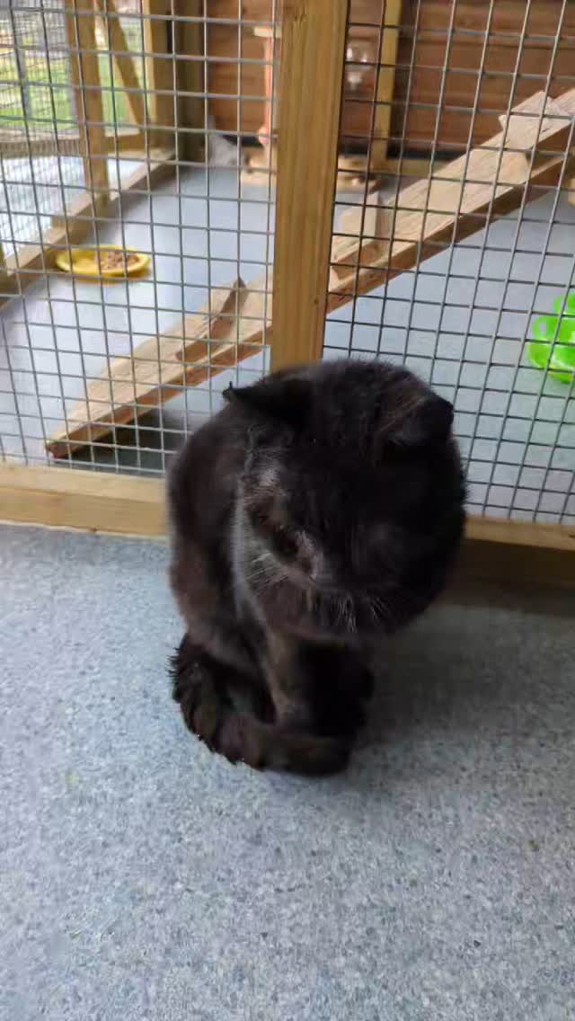 I think you will all agree that Patrick has come a long way from his old life on the streets. His wounds have healed and now that he feels safe he is enjoying some well deserved affection.