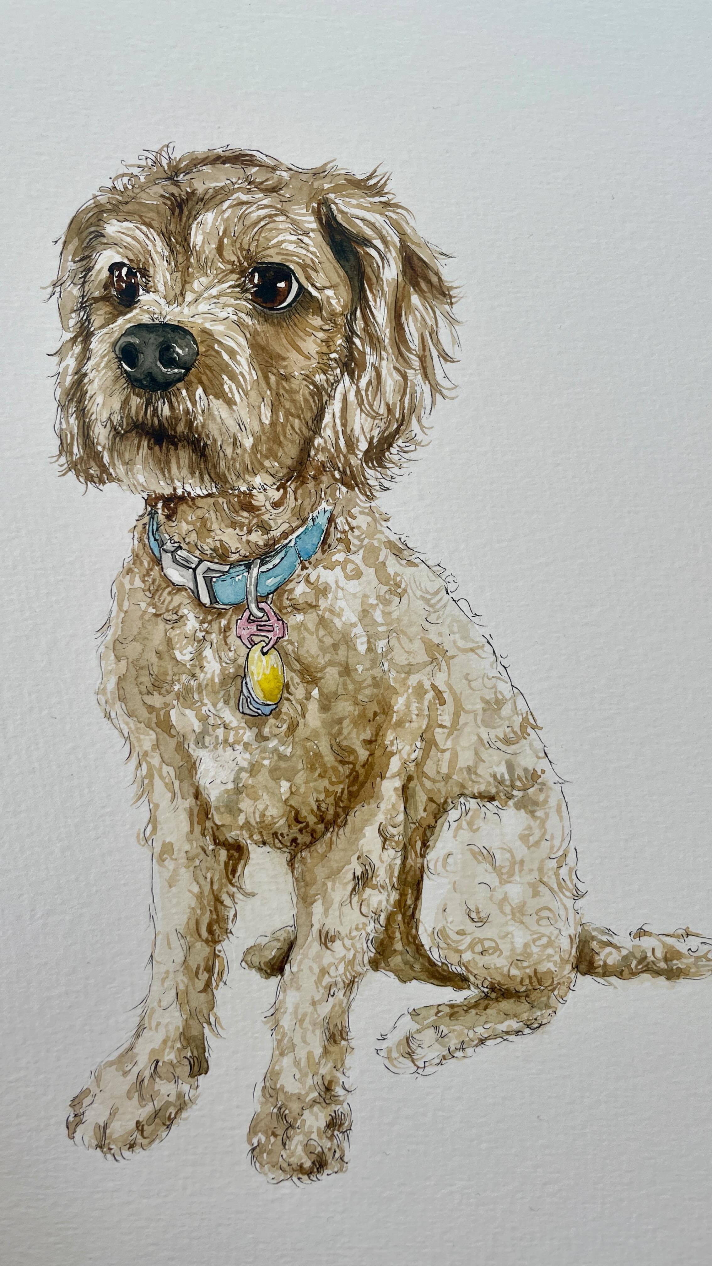 🐾✨ Meet Wilbur! 🐶 A very special guest who will be making an appearance on Colleen & Jack’s wedding invites, so their beloved pup can be part of their big day! 💌
Watch as I turn this sketch into a full watercolor painting (if only it happened this fast in real life! 😅). He’s just too cute!! 🎨💛
Can’t wait to see Wilbur on the invites! Who else has a fur baby they want to include in their wedding stationery? 🐾✨
#petportrait #wedding #watercolor #weddinginvites #watercolorpetportrait #weddingdog #stationerydesign #furbaby #bespokedesign