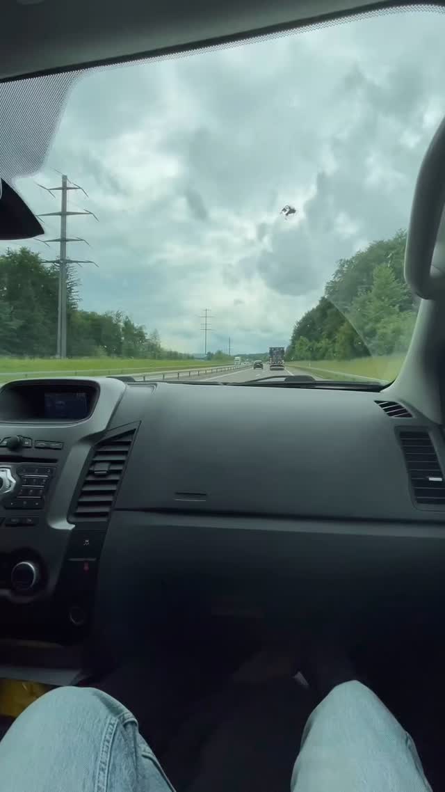 S‘Jublasurium 2025 isch scho wider Gschicht. Danke viel mol für die drü unvergessliche Täg und schön sind ihr debi gsi! 🐛🦋🐞🐝💛#jublasummt