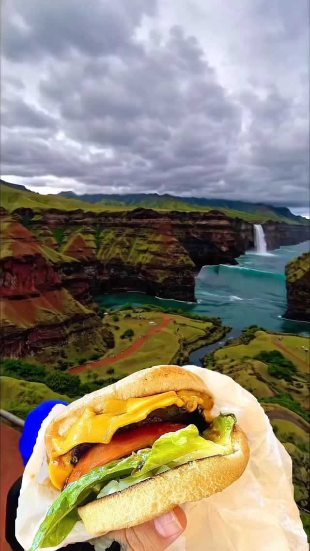 Looks like it’s time for lunch! #cheeseburger #kauai #poipu #kapaa #lunch #fries #coke #kauaifood #kauaieats #aloha #insta
