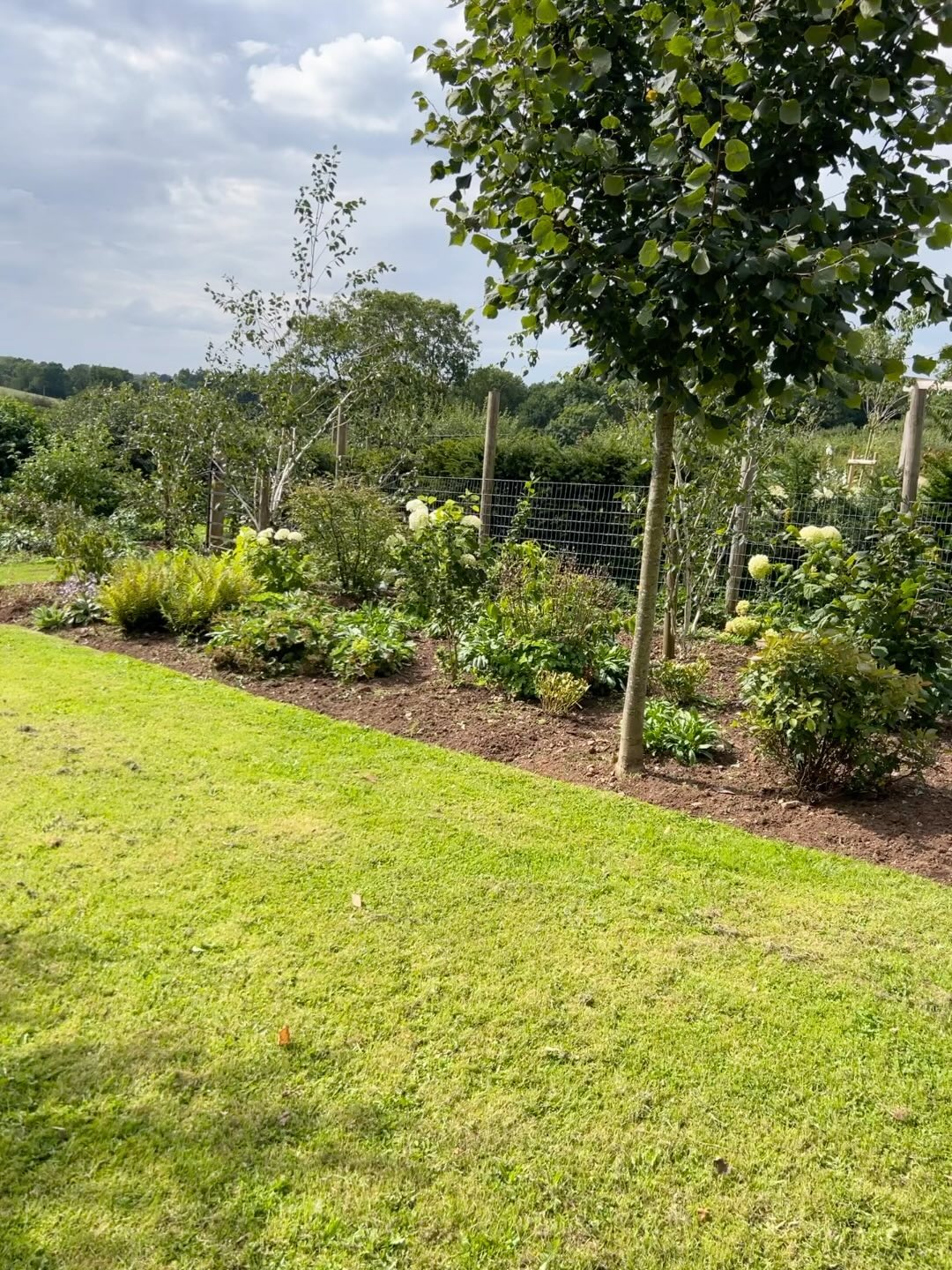 It’s hard to believe this triangle garden is only a year old, one year ago it was just a large patch of grass. We designed it to create a walk through with a new surprise at each turn…can’t wait to watch it mature!
#gardendesign
#landscapegardening
#gardenmaintenance
#trianglegarden