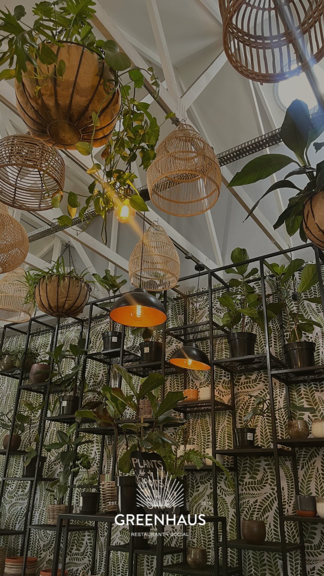 Enter our little oasis and fall in love with the tranquility 🌱