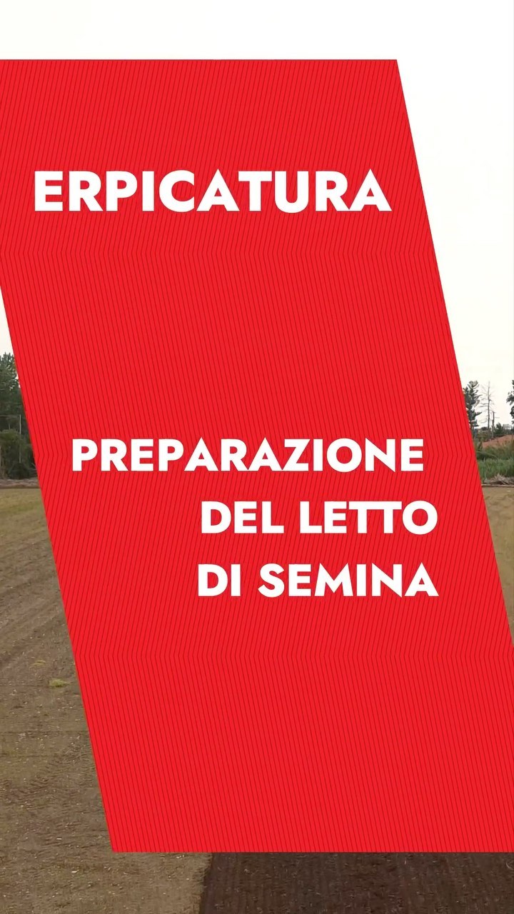 ERPICATURA
Preparazione del letto di semina ⬆️
.
.
.
#food #foodporn #instafood #instapic #amazing #instagood #dinner #lunch #fresh #tasty #food #delicious #eating #foodpic #foodpics #eat #hungry #foodgasm #hot #foods #reels #reelsinstagram #instagram #explore #explorepage #reelitfeelit #follow #reel #reelsvideo #like