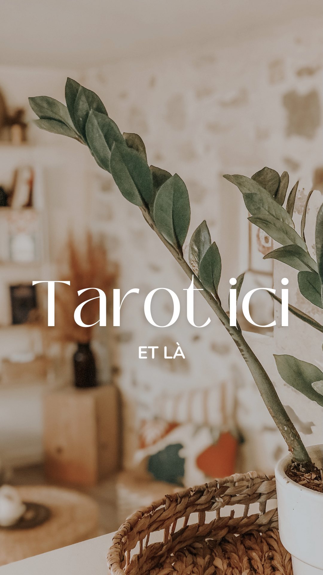 TarotSisters ✨
Quelque chose d’incroyable est en marche 💙🇬🇷
#tarot #intuition #intuitive #crete #grece #falasarna